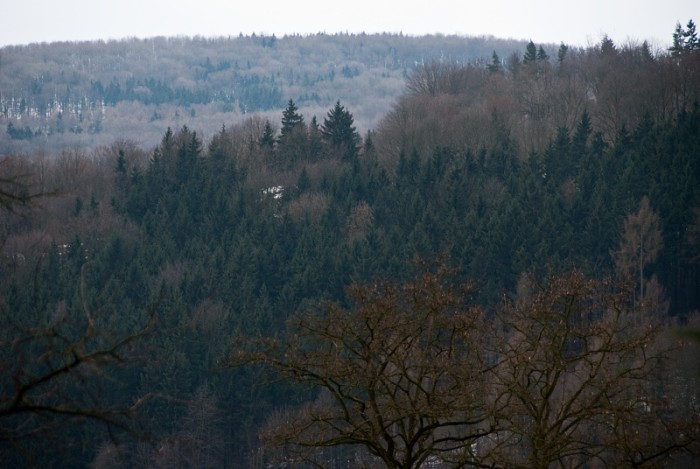 img00001.jpg