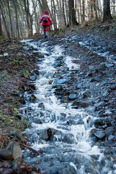 img00002.jpg
