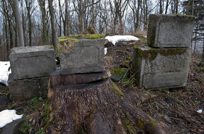 img00010.jpg