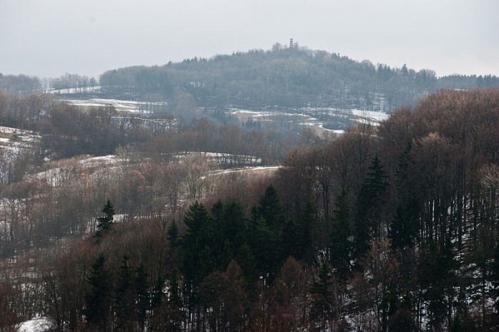 img00011.jpg