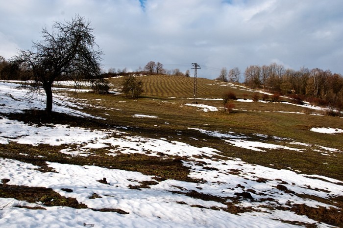 img00012.jpg