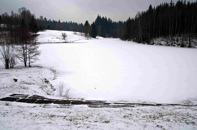 img00011.jpg