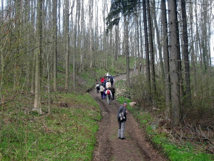 img00001.jpg