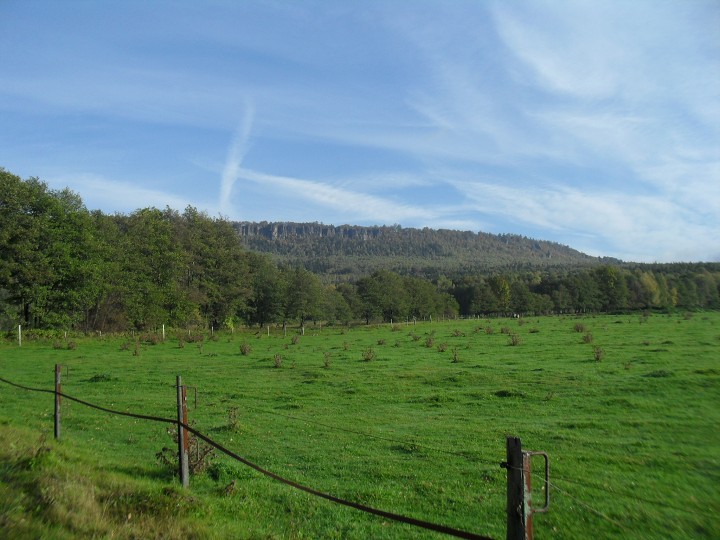 img00001.jpg