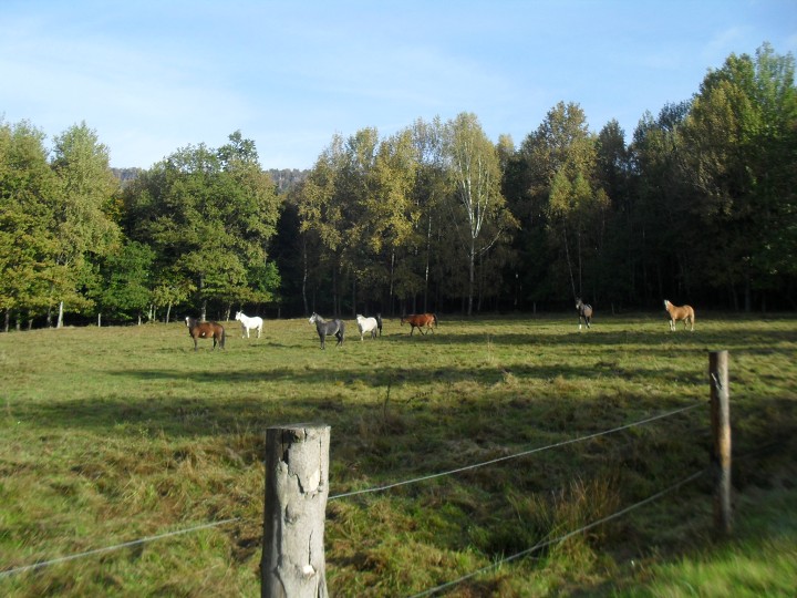 img00002.jpg
