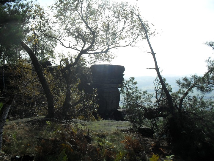 img00014.jpg