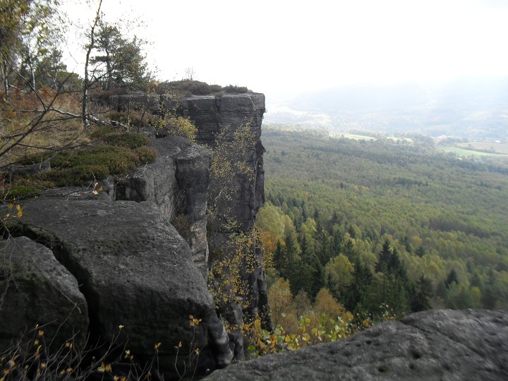 img00019.jpg