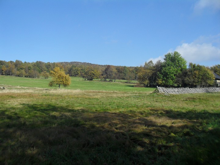 img00021.jpg