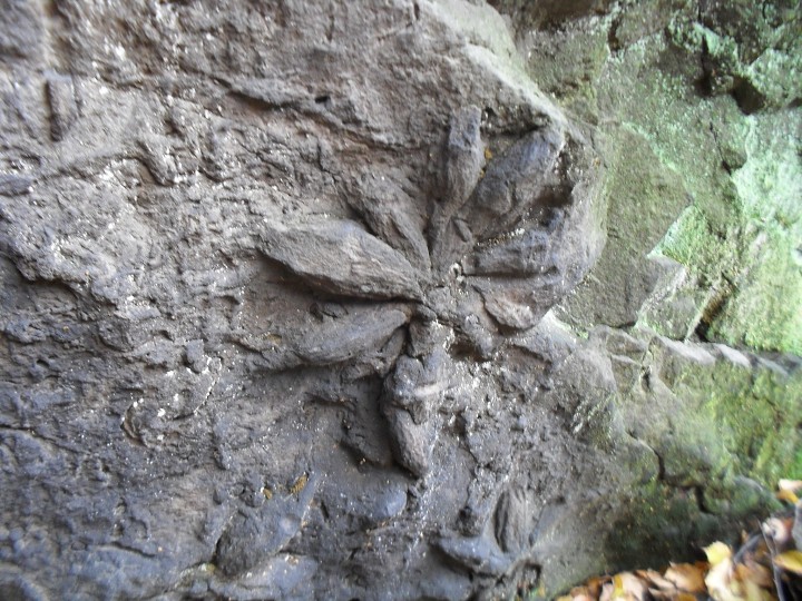img00022.jpg