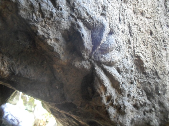 img00024.jpg