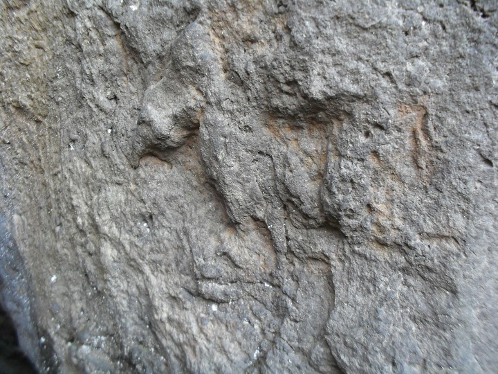 img00025.jpg