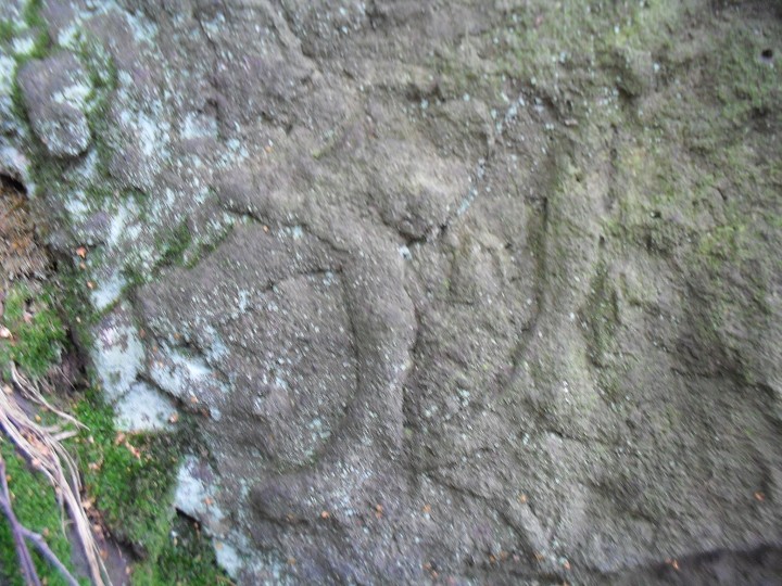 img00026.jpg