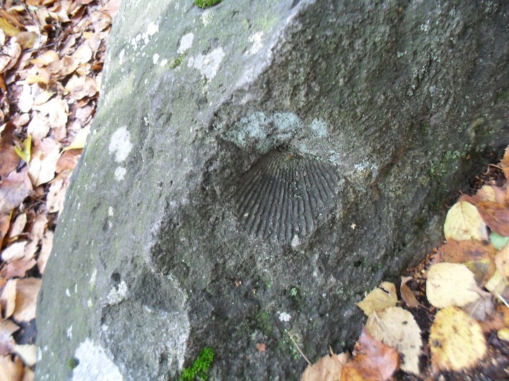 img00028.jpg