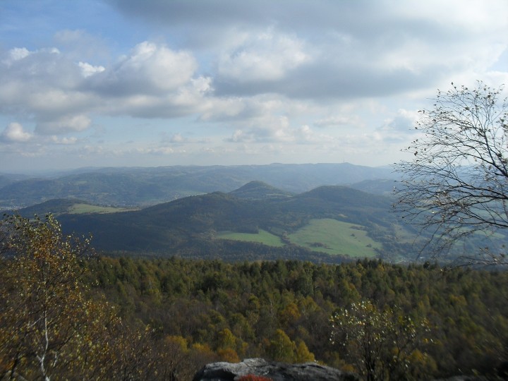 img00035.jpg