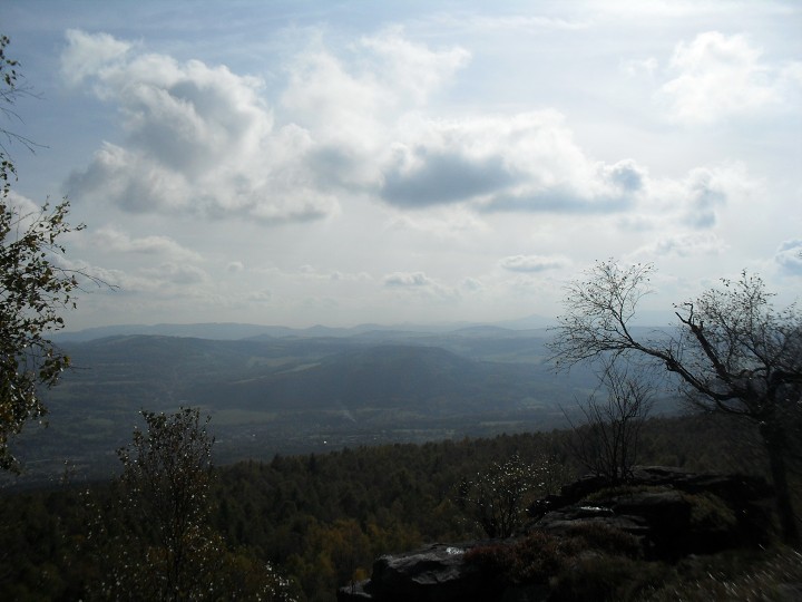 img00037.jpg
