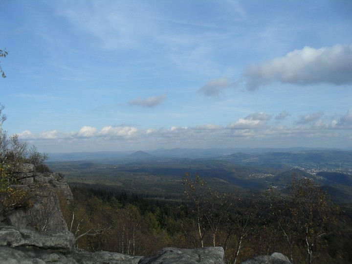 img00041.jpg
