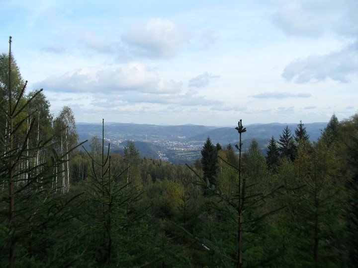 img00043.jpg