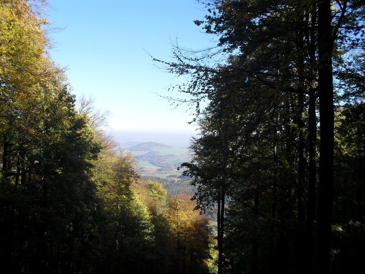 img00005.jpg