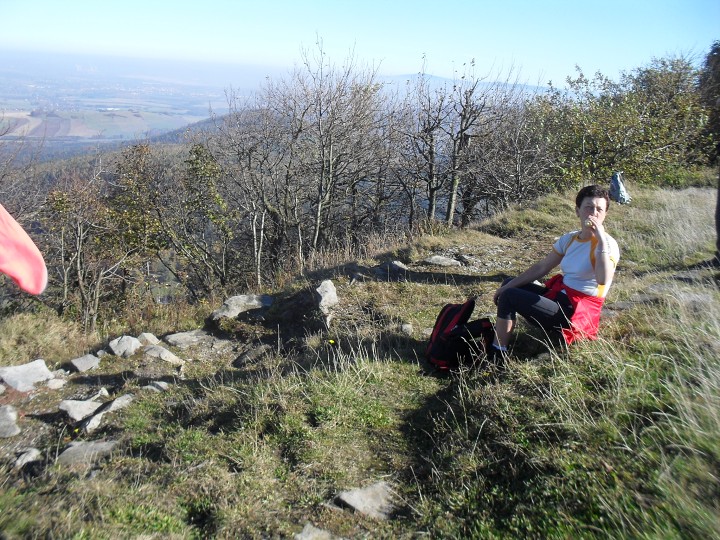 img00017.jpg