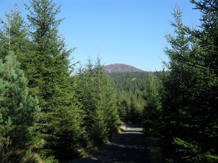 img00020.jpg