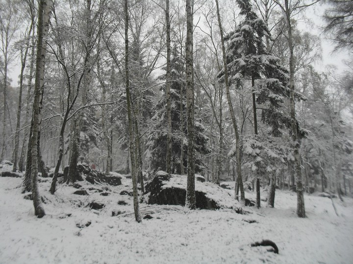 img00001.jpg