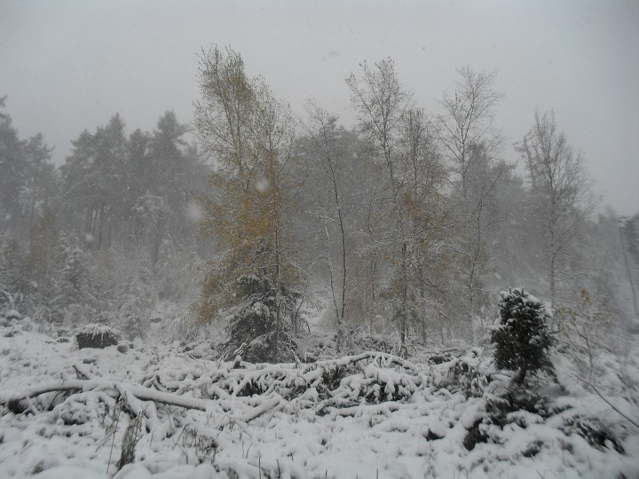 img00002.jpg