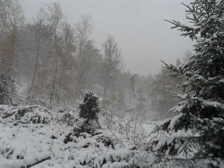 img00003.jpg