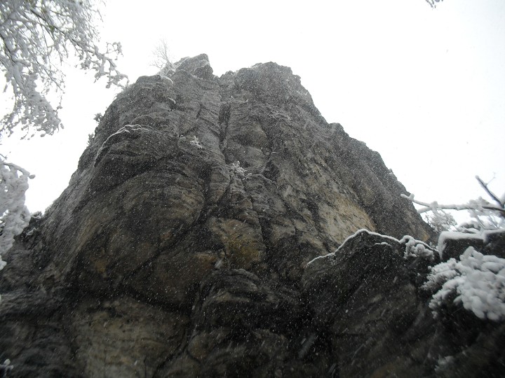 img00005.jpg