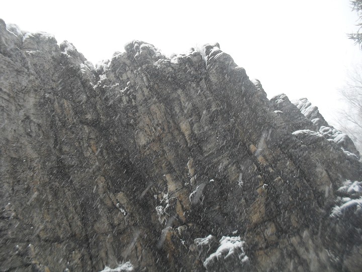 img00007.jpg