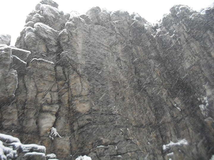 img00008.jpg