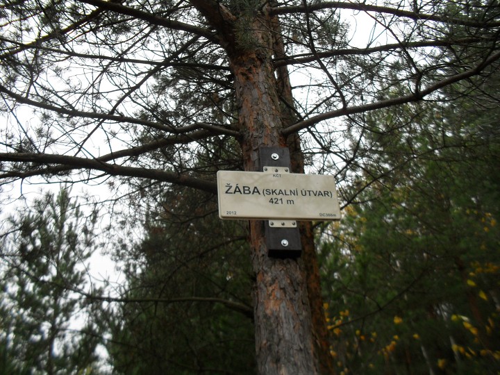 img00002.jpg