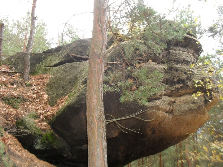 img00003.jpg