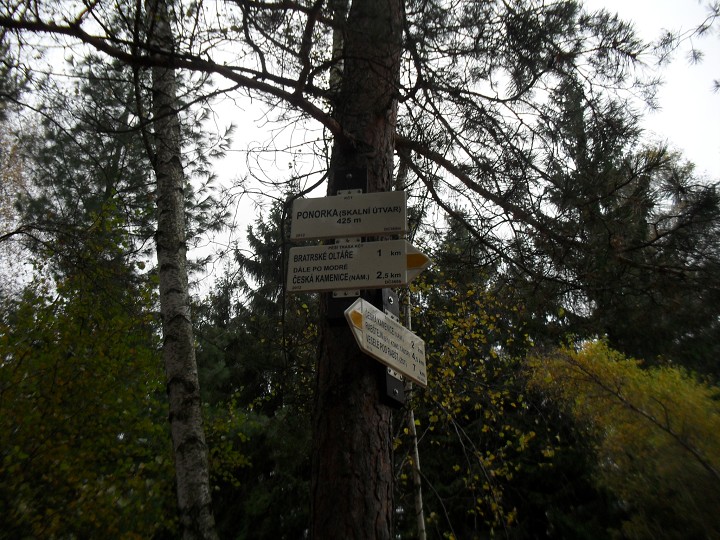 img00004.jpg
