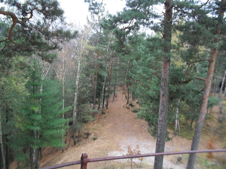 img00008.jpg