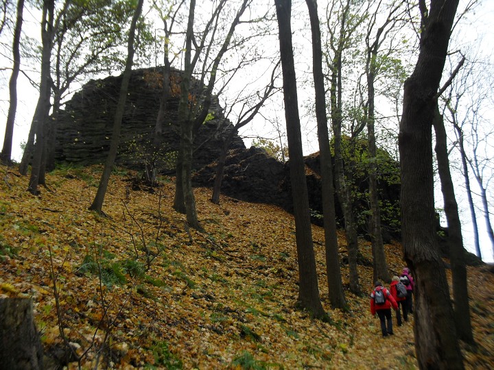 img00014.jpg