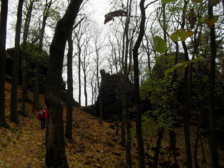 img00015.jpg