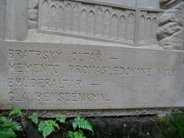 img00029.jpg