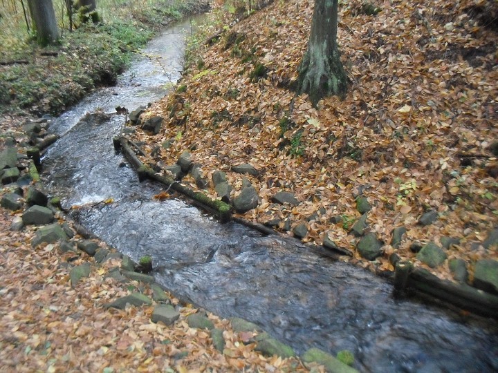img00039.jpg
