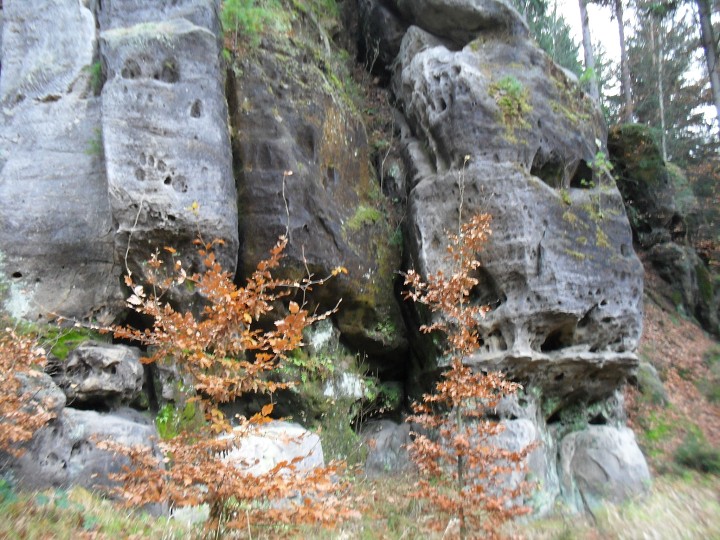 img00042.jpg