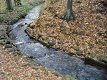 41 tudy se vracejí pstruzi 