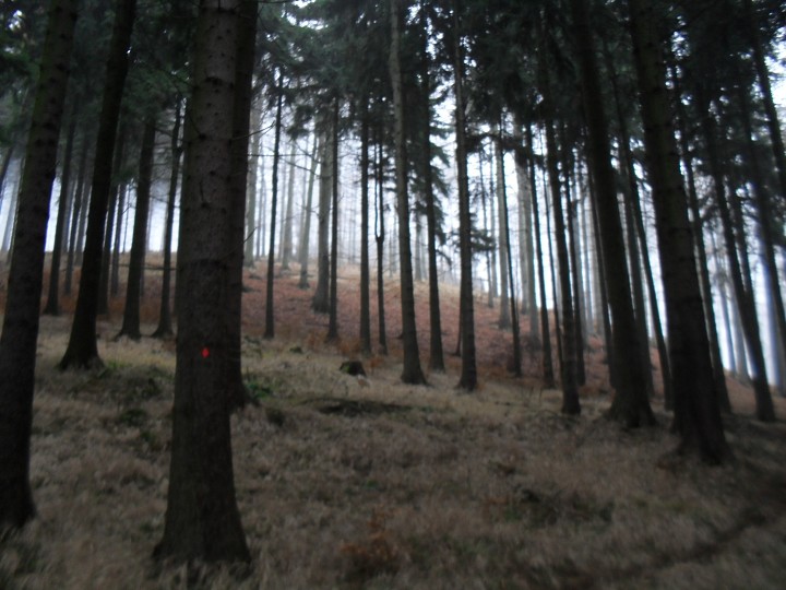 img00009.jpg