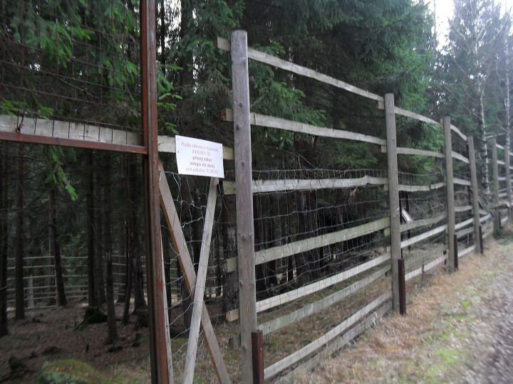 img00011.jpg