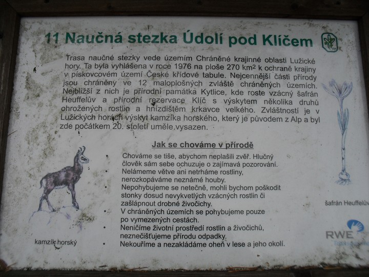 img00012.jpg