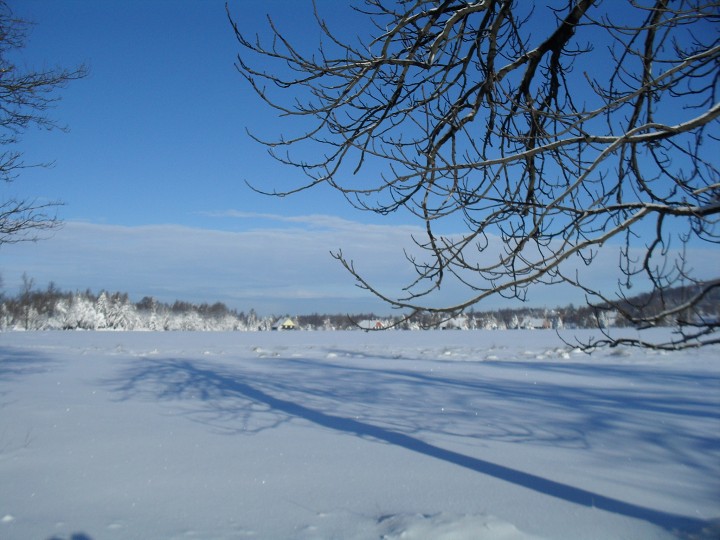 img00007.jpg
