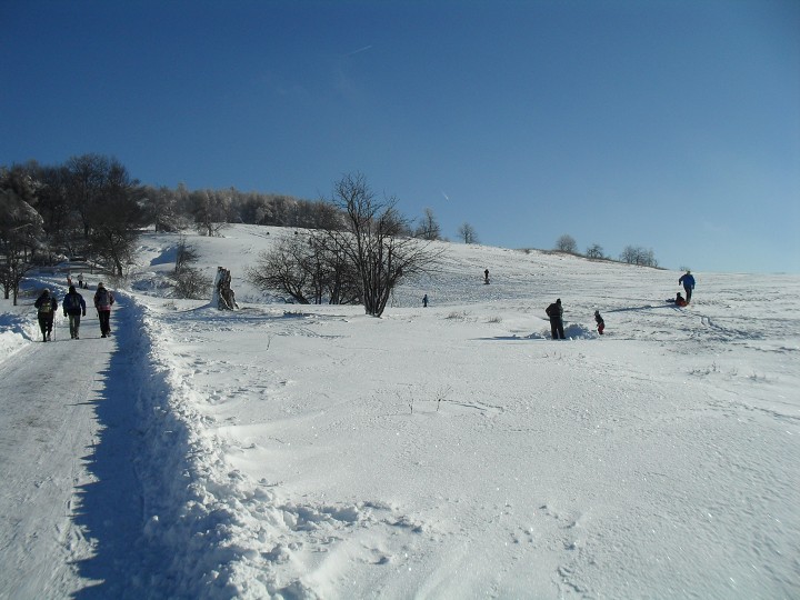 img00010.jpg