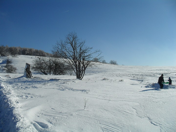 img00011.jpg