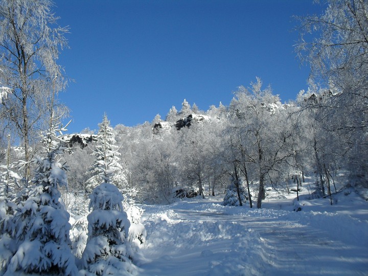 img00012.jpg