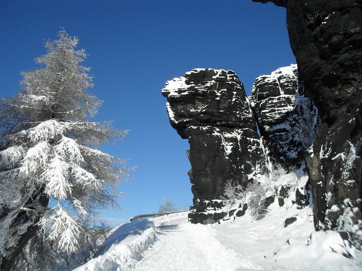 img00015.jpg