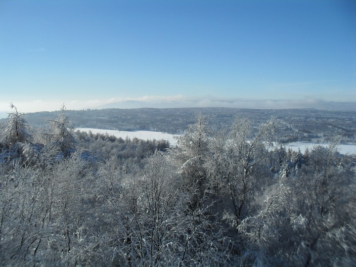 img00016.jpg