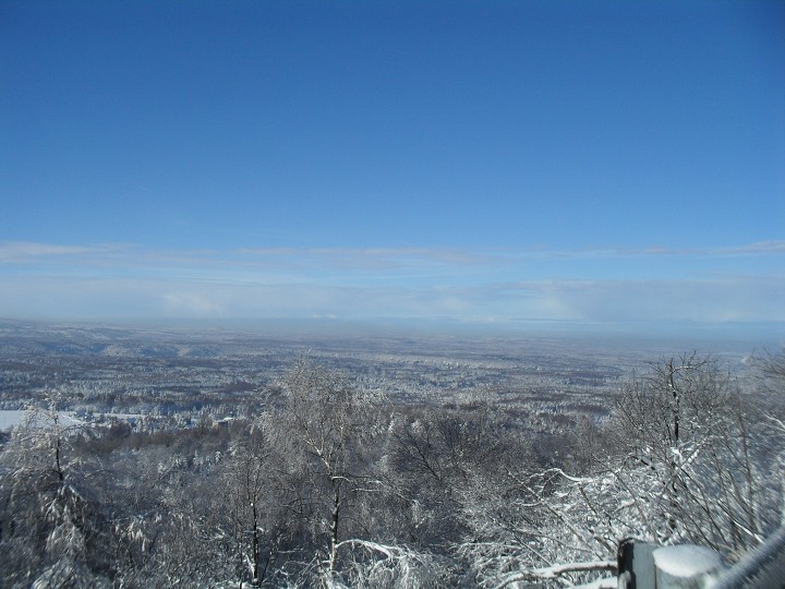 img00017.jpg